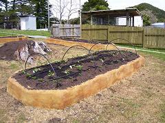 An Organiponico raised garden bed