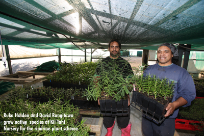 They grow plants and they grow people at Kii Tahi Nursery and Land Care
